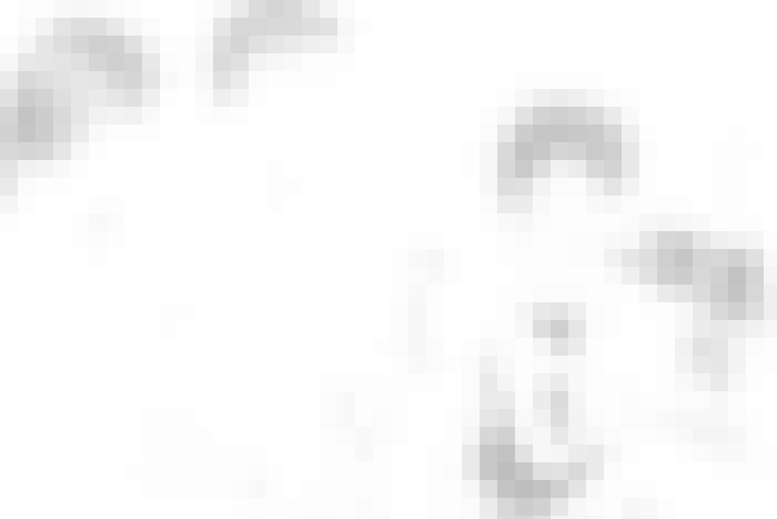 如何找到推动数字转型的人才